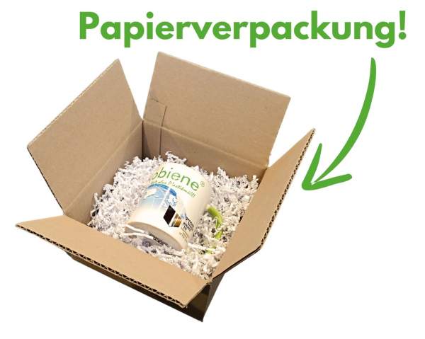 Plastikfreies-Verpackungsmaterial-Papierverpackung-Faltschachtel-mit-Papierwolle